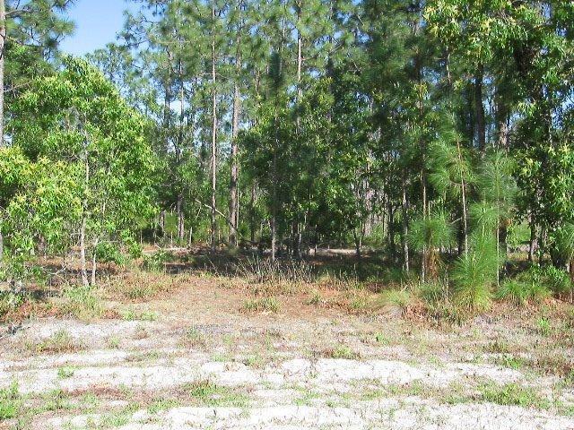 2000 Pinehurst Road Southport, NC 28461 - Photo 2 of 11 Additional Photo