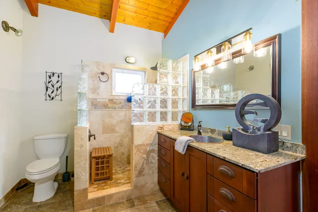 a bathroom with a toilet a sink and a shower