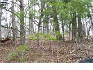 7 Old Lead Mine Valley Road Southwest Cleveland, TN 37311 - Photo 1 of 1 Primary Photo