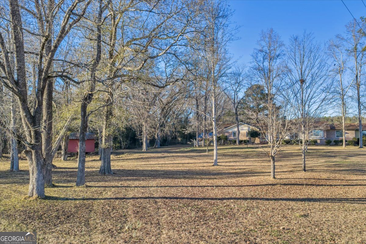 5166 Hamilton Street Preston, GA 31824 - Photo 1 of 104