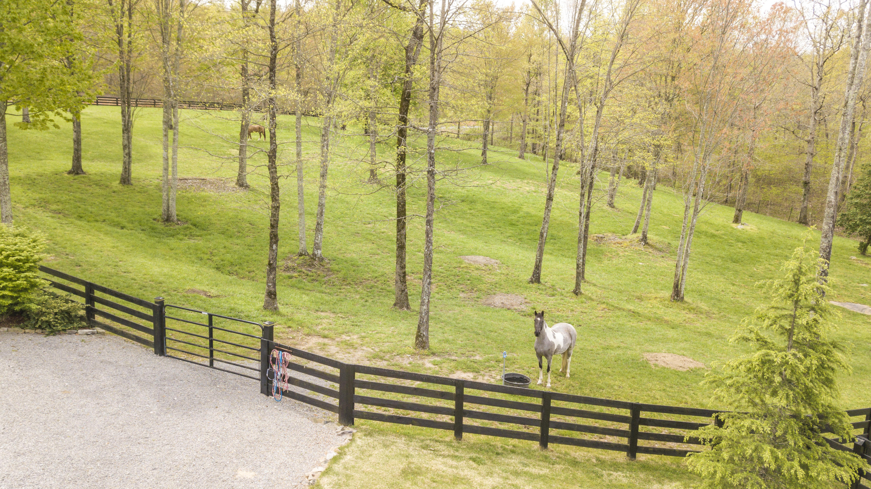 600 Roaring Creek Road Dunlap, TN 37327 - Photo 116 of 143 property_1