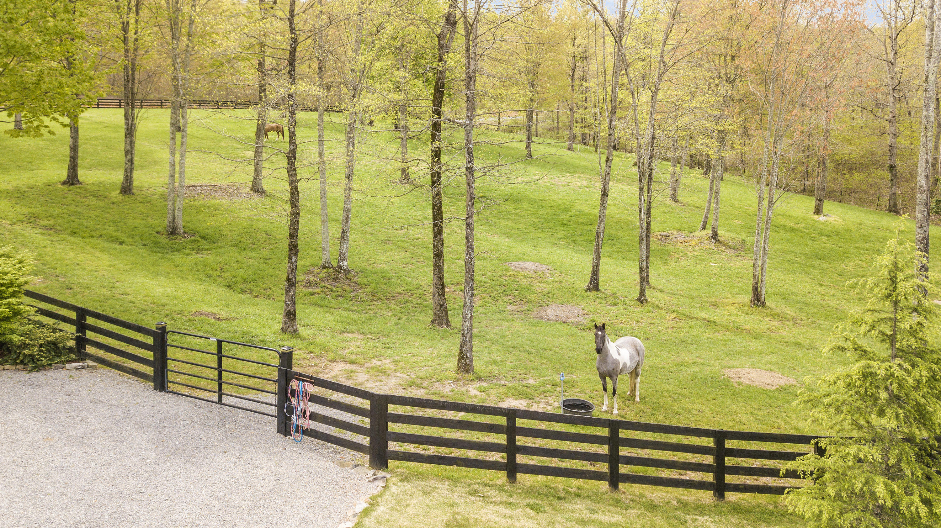 600 Roaring Creek Road Dunlap, TN 37327 - Photo 120 of 143 property_1
