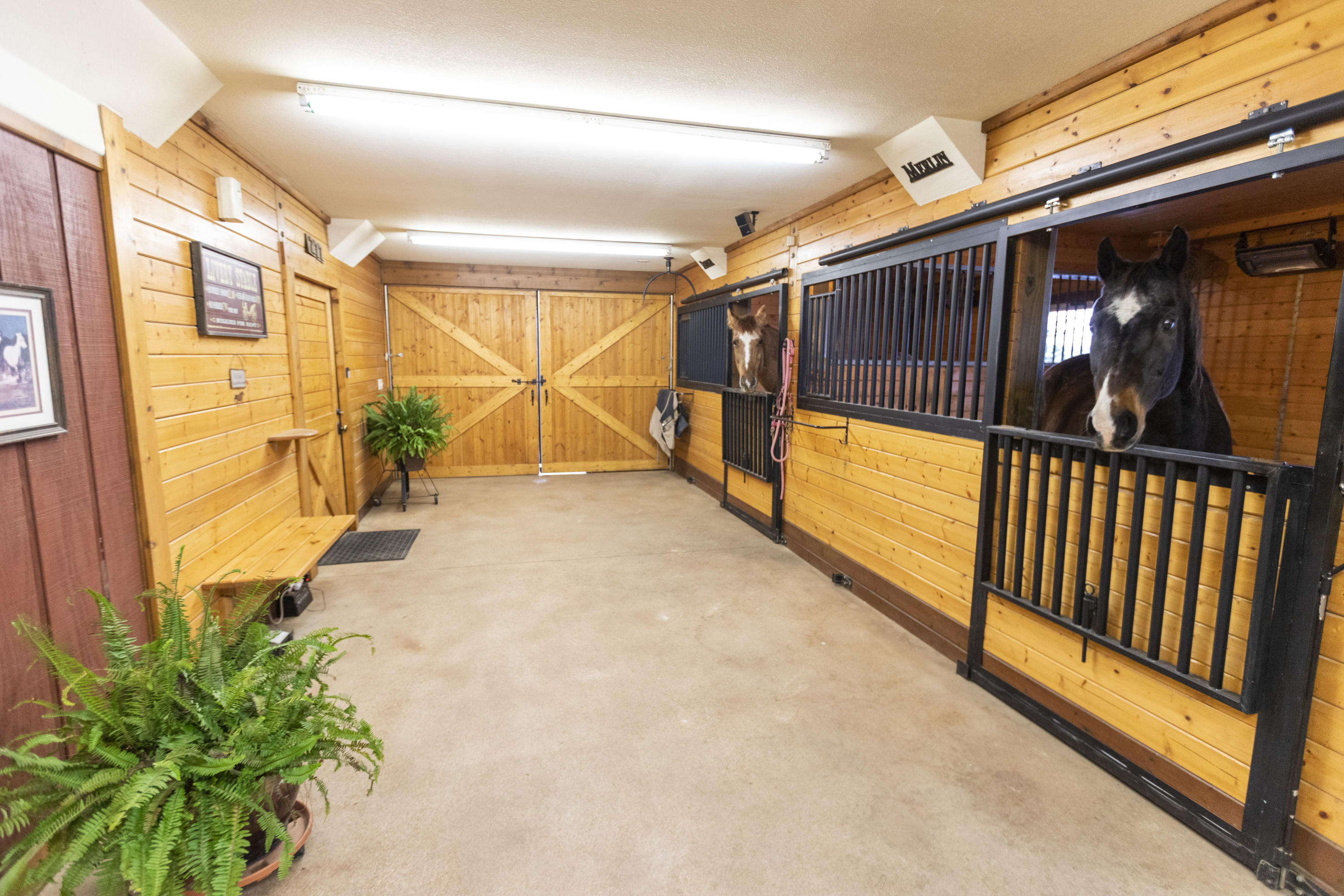 600 Roaring Creek Road Dunlap, TN 37327 - Photo 61 of 143 Barn_IMG_1405