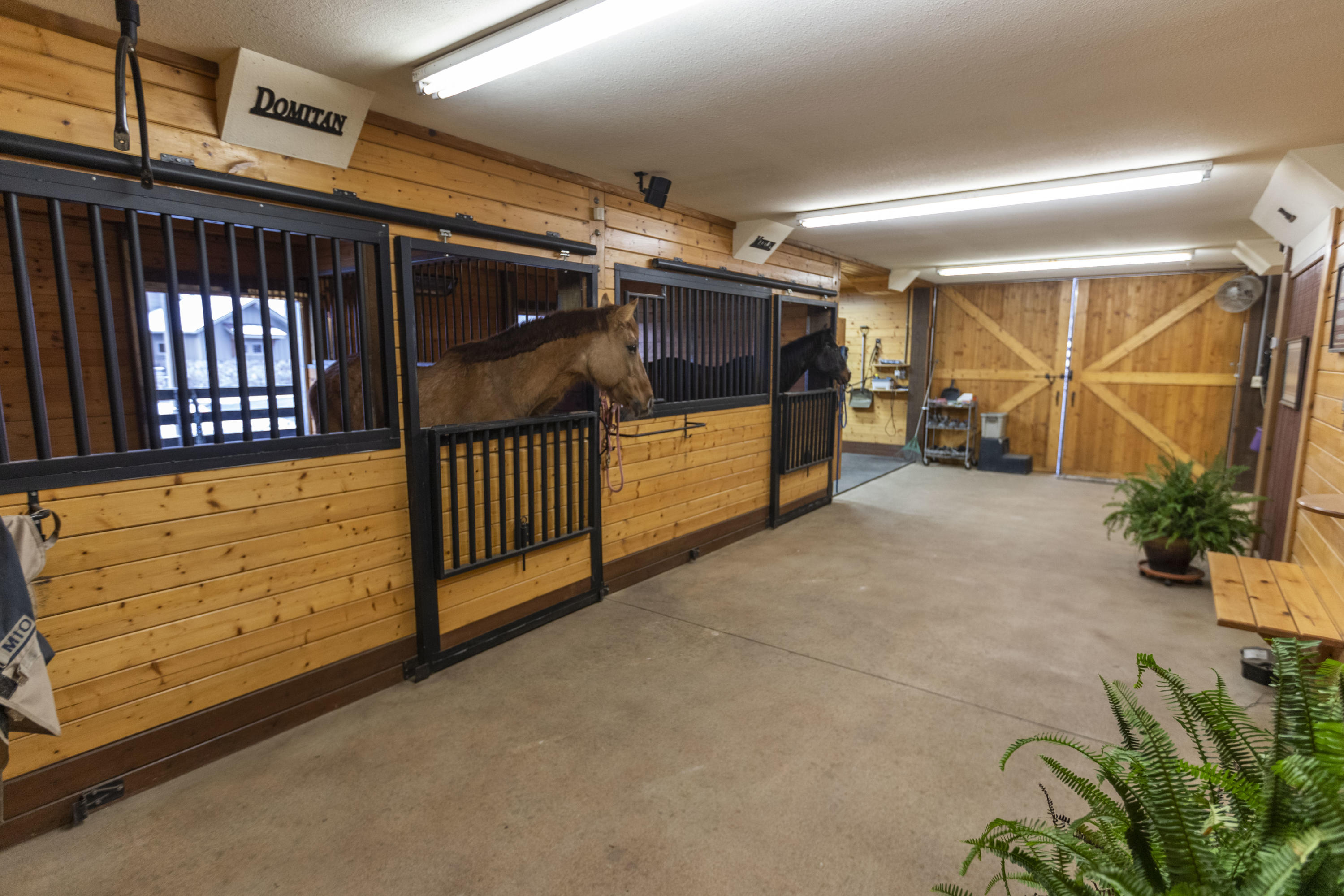 600 Roaring Creek Road Dunlap, TN 37327 - Photo 63 of 143 Barn_IMG_1412