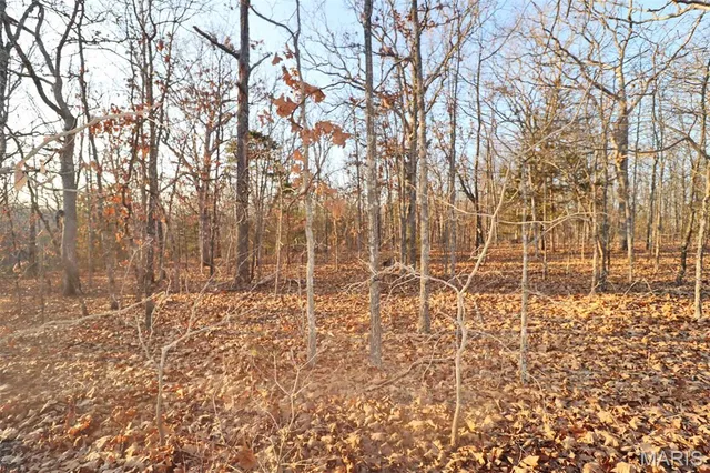 $95,000 | 0 Perkins Road, St. Clair, MO 63077