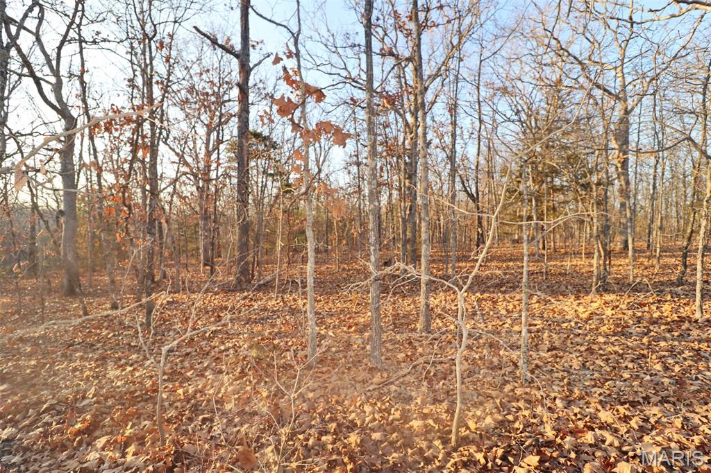 0 Perkins Road St. Clair, MO 63077 - Photo 3 of 12