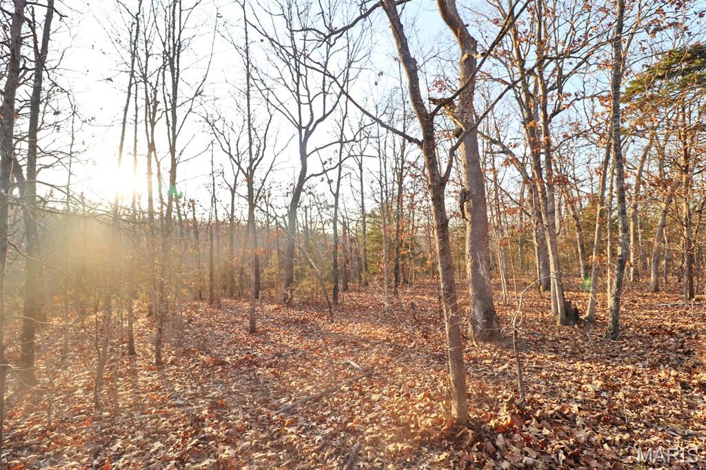 0 Perkins Road St. Clair, MO 63077 - Photo 4 of 12