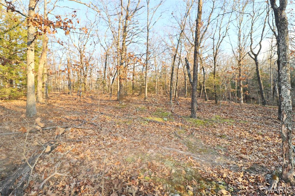 0 Perkins Road St. Clair, MO 63077 - Photo 5 of 12