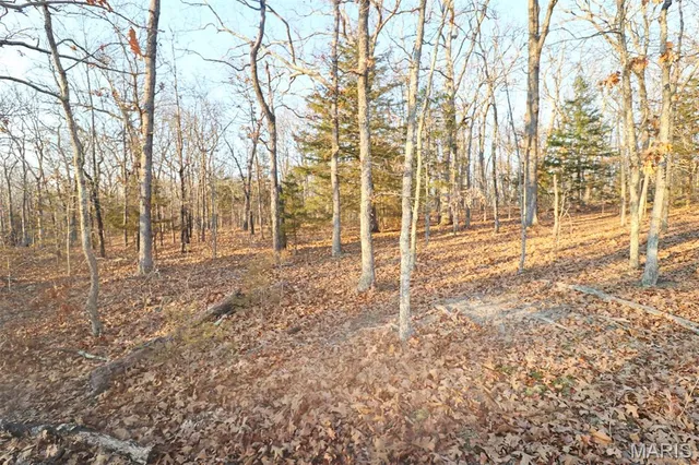 $95,000 | 0 Perkins Road, St. Clair, MO 63077