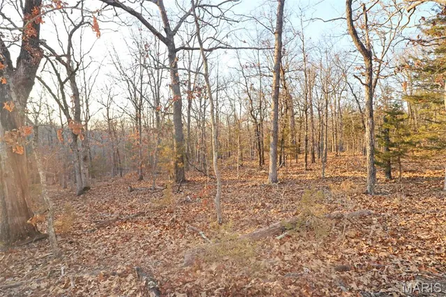 $95,000 | 0 Perkins Road, St. Clair, MO 63077