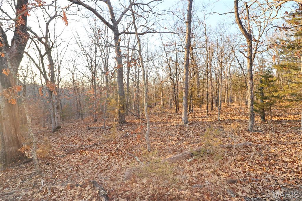 0 Perkins Road St. Clair, MO 63077 - Photo 8 of 12