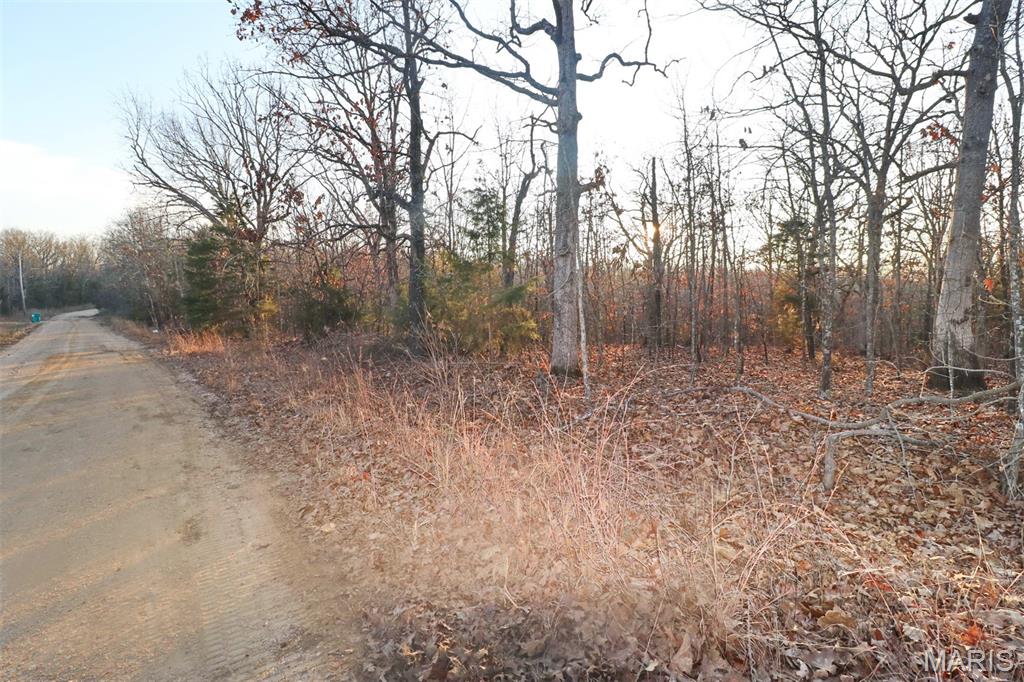 0 Perkins Road St. Clair, MO 63077 - Photo 9 of 12