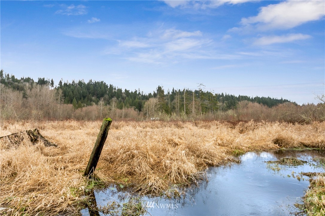 21234 Redmond-Fall City Road Northeast Redmond, WA 98053 - Photo 2 of 18 a view of a lake