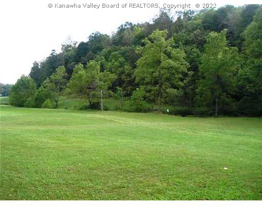 4577 Medina Road Ravenswood, WV 26164 - Photo 7 of 8 Land/Lot.