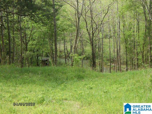 Pendley Creek Road, Unit 7 Carbon Hill, AL 35549 - Photo 2 of 10