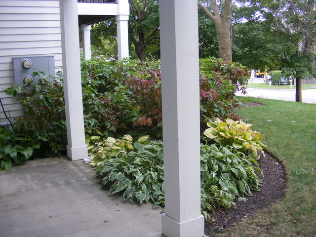 102 East Winchester Road, Unit B Libertyville, IL 60048 - Photo 3 of 14