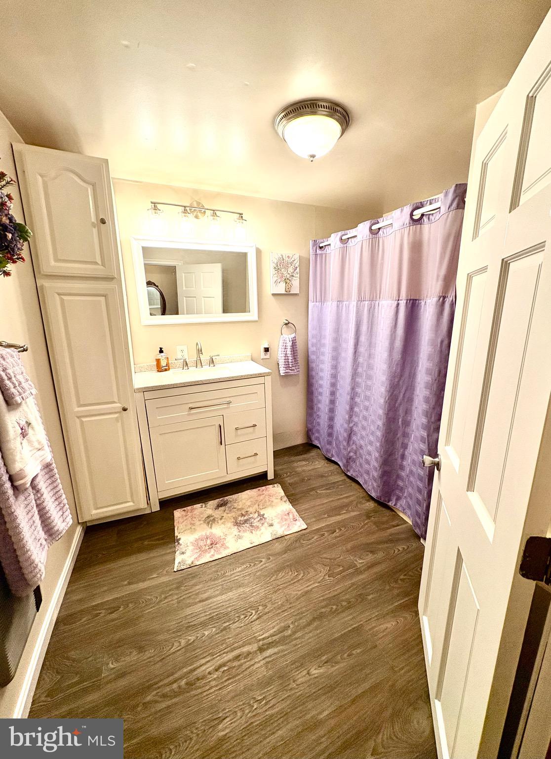 3411 Marsh Road Ewell, MD 21824 - Photo 14 of 24 a bathroom with a sink a mirror and a shower