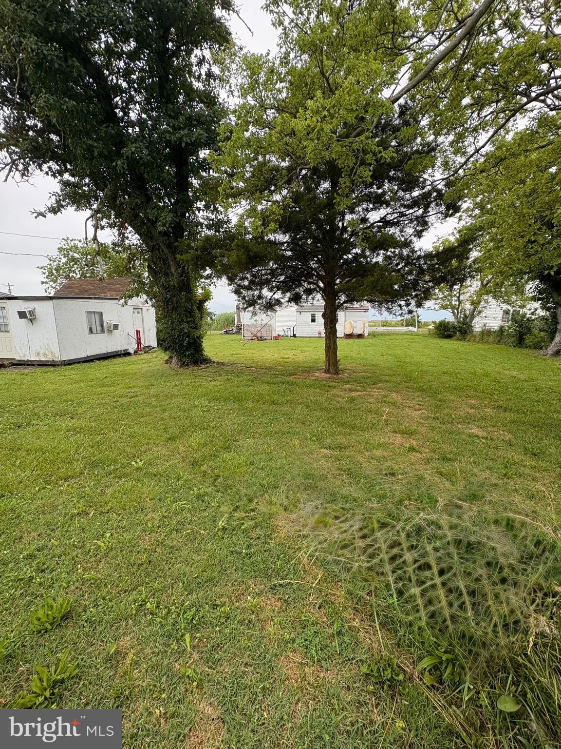3411 Marsh Road Ewell, MD 21824 - Photo 6 of 24 Backyard looking towards house