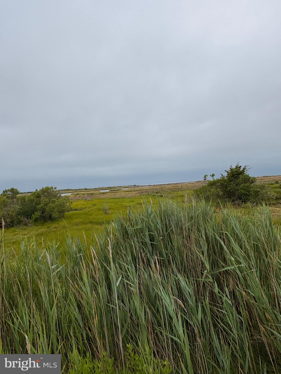 3411 Marsh Road Ewell, MD 21824 - Photo 7 of 24 View of the Chesapeake Bay from the Front Door