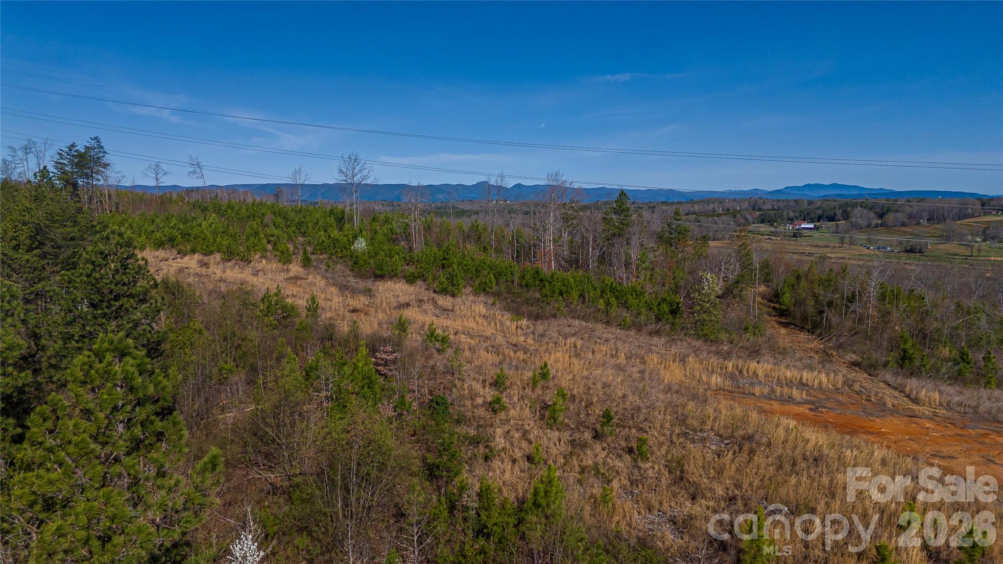 0 Carbon City Road Morganton, NC 28655 - Photo 9 of 10