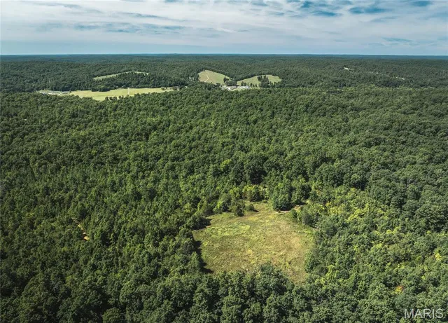 $799,999 | 470 County Road 118, Annapolis, MO 63620