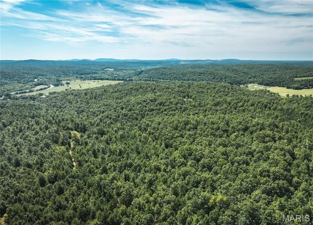 $799,999 | 470 County Road 118, Annapolis, MO 63620