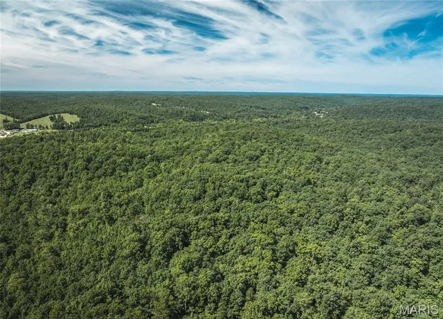 $799,999 | 470 County Road 118, Annapolis, MO 63620