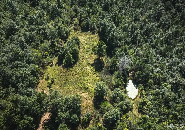 $799,999 | 470 County Road 118, Annapolis, MO 63620