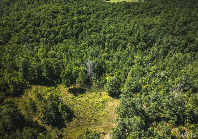 $799,999 | 470 County Road 118, Annapolis, MO 63620