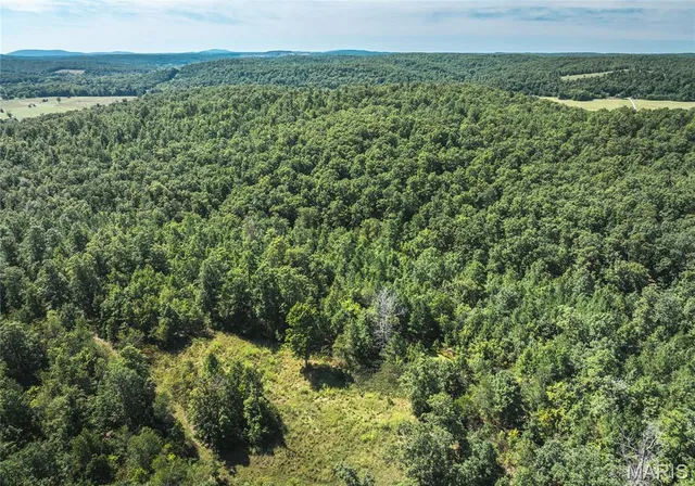 $799,999 | 470 County Road 118, Annapolis, MO 63620