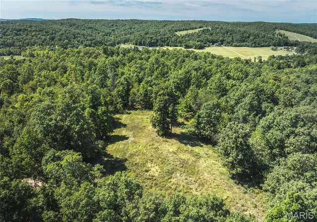 $799,999 | 470 County Road 118, Annapolis, MO 63620