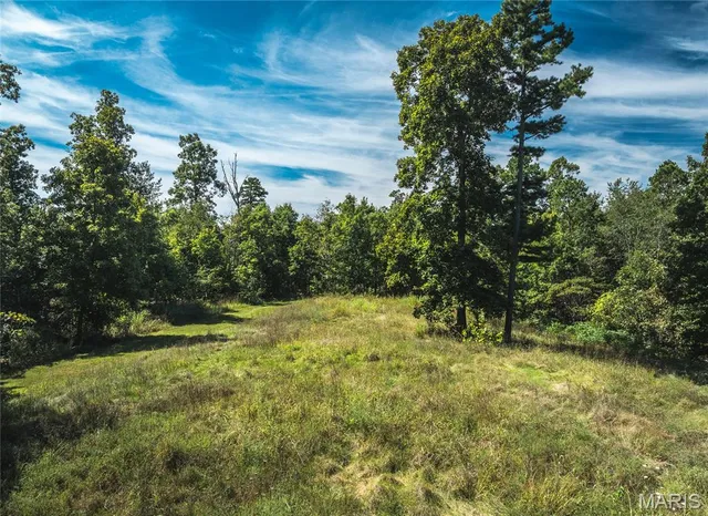 $799,999 | 470 County Road 118, Annapolis, MO 63620