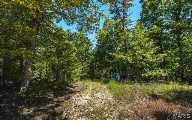 $799,999 | 470 County Road 118, Annapolis, MO 63620