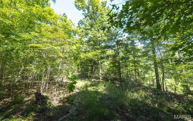 $799,999 | 470 County Road 118, Annapolis, MO 63620