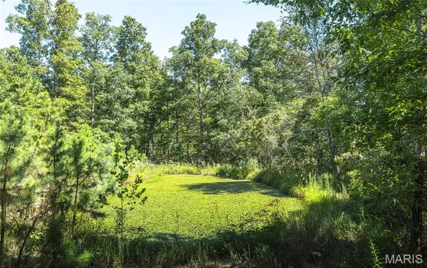 $749,999 | 470 County Road 118, Annapolis, MO 63620