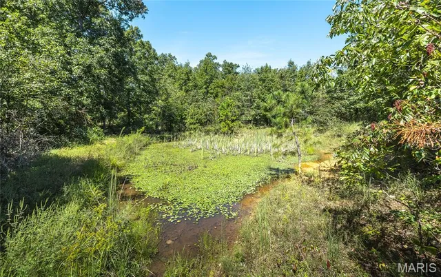 $799,999 | 470 County Road 118, Annapolis, MO 63620