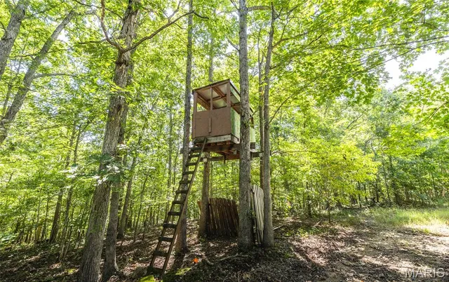 $799,999 | 470 County Road 118, Annapolis, MO 63620