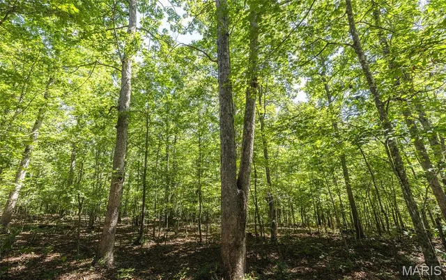 $799,999 | 470 County Road 118, Annapolis, MO 63620