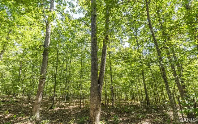 $799,999 | 470 County Road 118, Annapolis, MO 63620