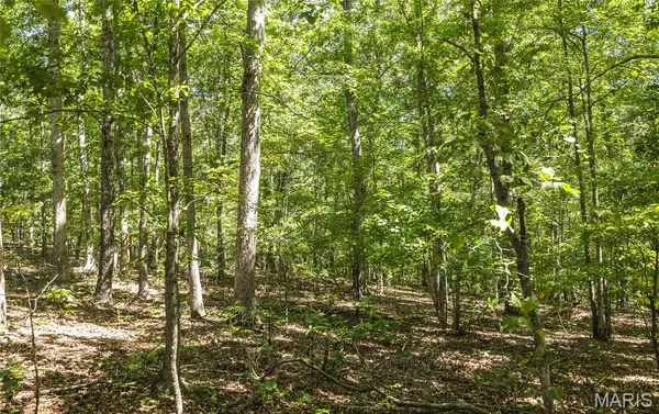 $749,999 | 470 County Road 118, Annapolis, MO 63620
