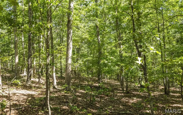 $799,999 | 470 County Road 118, Annapolis, MO 63620