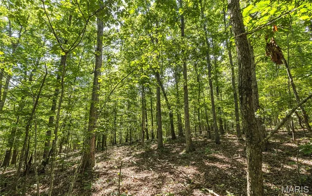 $799,999 | 470 County Road 118, Annapolis, MO 63620