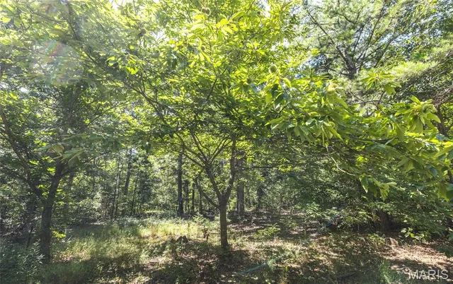 $799,999 | 470 County Road 118, Annapolis, MO 63620