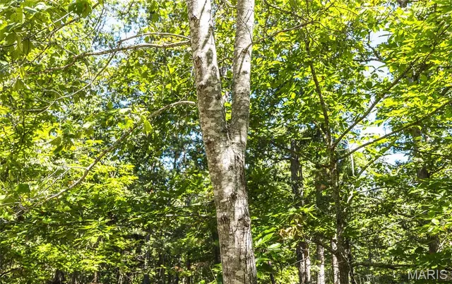 $799,999 | 470 County Road 118, Annapolis, MO 63620