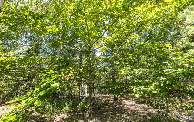 $799,999 | 470 County Road 118, Annapolis, MO 63620