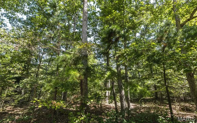 $799,999 | 470 County Road 118, Annapolis, MO 63620