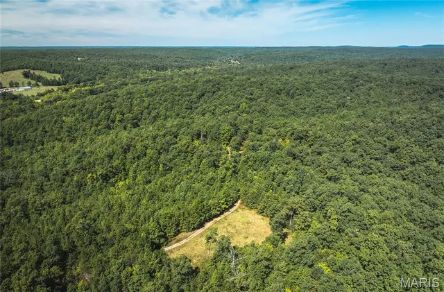 $799,999 | 470 County Road 118, Annapolis, MO 63620