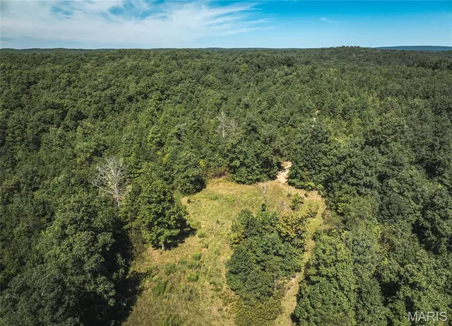 $799,999 | 470 County Road 118, Annapolis, MO 63620