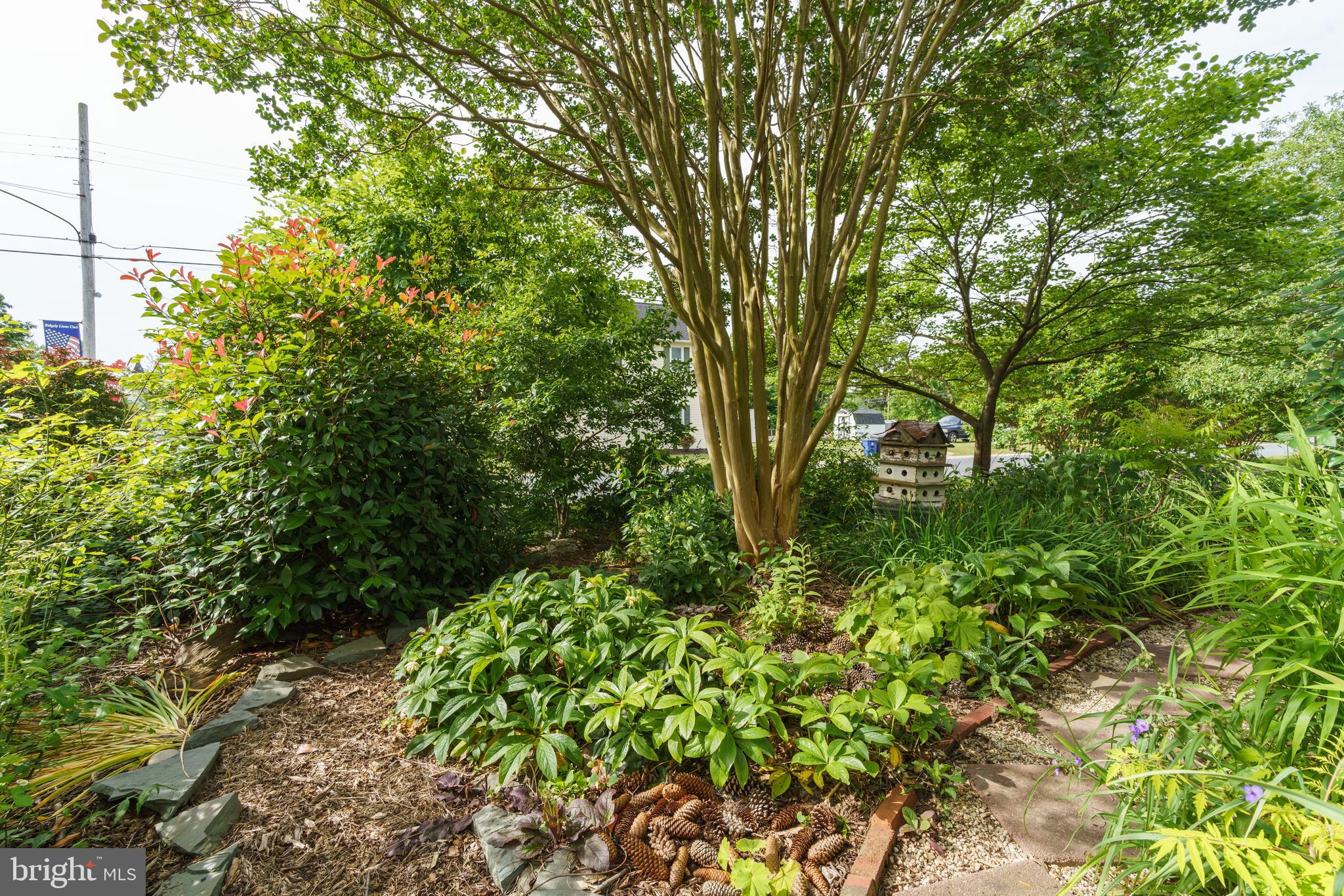 211 Central Ridgely, MD 21660 - Photo 38 of 44 Gallery Image 38
