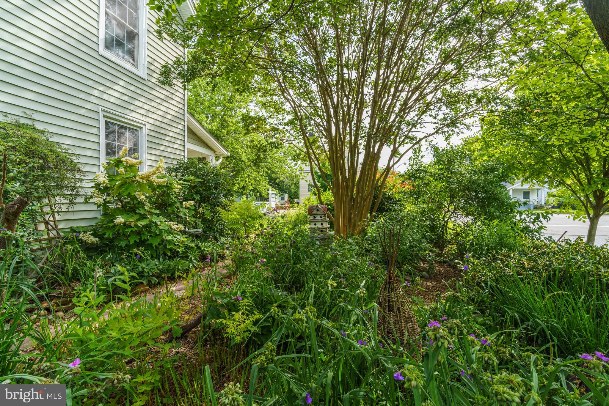 211 Central Ridgely, MD 21660 - Photo 40 of 44 Gallery Image 40